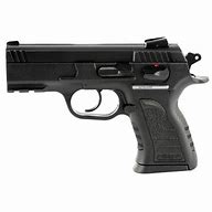Image result for EAA Witness Compact 10Mm