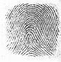 Image result for Altered Fingerprints