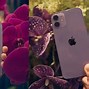Image result for Purple iPhone with 3 Cameras
