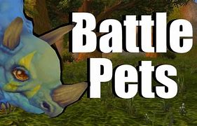Image result for wow mega bite pet battle