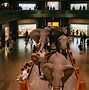 Image result for American Museum of Natural History Tickets