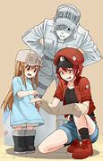 Image result for How Cells Work Anime