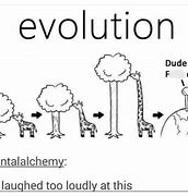 Image result for Evolution Cacaw Meme