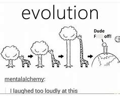 Image result for Medicin Evolution Meme