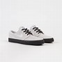 Image result for Nike SB Grey Shoes