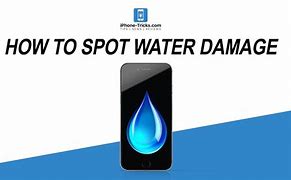 Image result for How to Tell If iPhone Has Water Damage