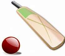 Image result for Cricket GIF Transparent