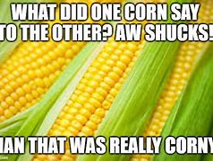 Image result for Ohio Corn Meme