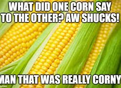 Image result for Corn Nuts Meme