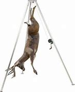 Image result for Small-Game Hanger