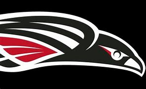 Image result for Hawk NBA Black Logo