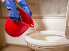 Image result for Types of Flush Toilets