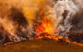 Image result for California Wildfires
