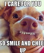 Image result for Cheer Up Dog