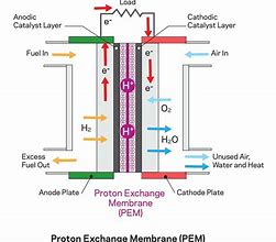 Image result for PEM Hydrogen Fuel Cell