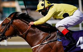 Image result for Map of Horse Racing Courses UK