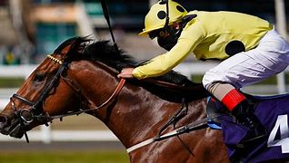 Image result for British Horse Racing Clothing