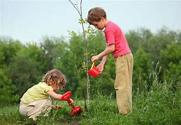 Image result for Child Planting a Tree