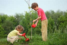 Image result for Boy Planting a Tree