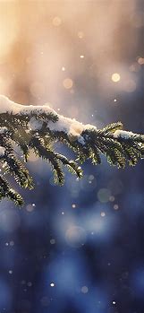 Image result for Winter Wallpaper for iPhone XS Max