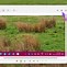 Image result for Where to Find Screenshots