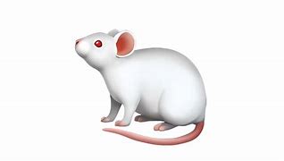 Image result for Mouse Emoji