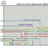 Image result for Fuji APS Sensor Size