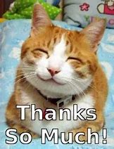 Image result for Thank You Very Much Cat Meme