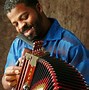 Image result for Accordion
