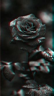 Image result for Glitch Rose Aesthetic