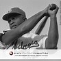 Image result for Jackie Robinson Signed Baseball Bat