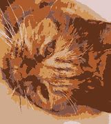 Image result for J Hooks for Cat5