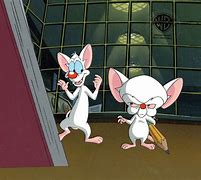 Image result for Pinky and the Brain Intro