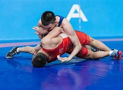 Image result for Greco-Roman Wrestling Olympics