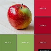 Image result for apples fruits colors palettes