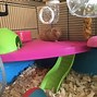 Image result for Giant Hamster Cage