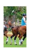 Image result for Nacho Figueras and Prince Harry