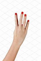 Image result for Female Hand Fingers
