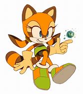 Image result for The Raccoon Movie Sonic