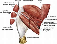 Image result for qbductor
