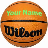 Image result for Wilson Indoor Basketball