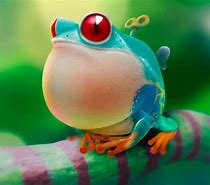 Image result for Frog 2D