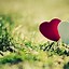 Image result for Love Wallpaper HD iPhone