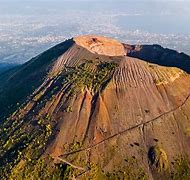 Image result for Mount Vesuvius Wildlife