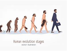 Image result for Evolutionary Stages