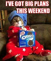 Image result for Grumpy Cat Friday Meme