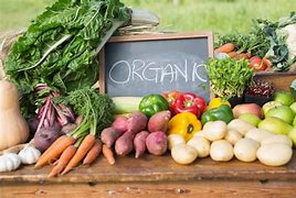 Image result for Organic Fruit Food