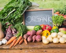 Image result for Vegan Organic Gardening