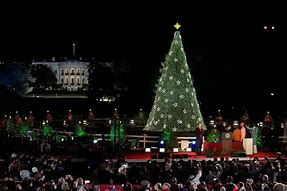 Image result for White House Christmas Tree Lighting