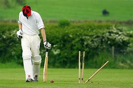 Image result for Cricket